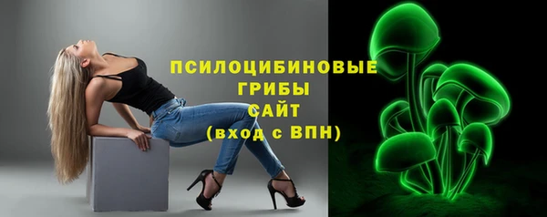 герыч Козельск
