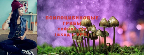 герыч Козельск