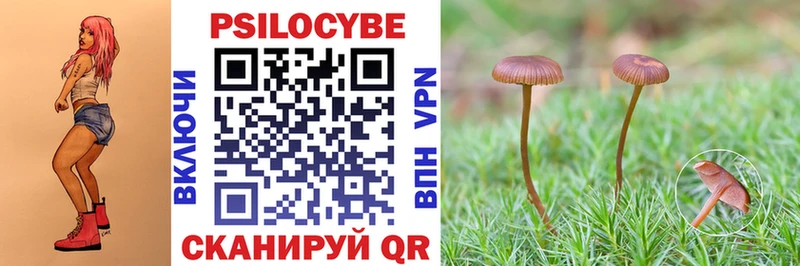 Псилоцибиновые грибы MAGIC MUSHROOMS Белоусово